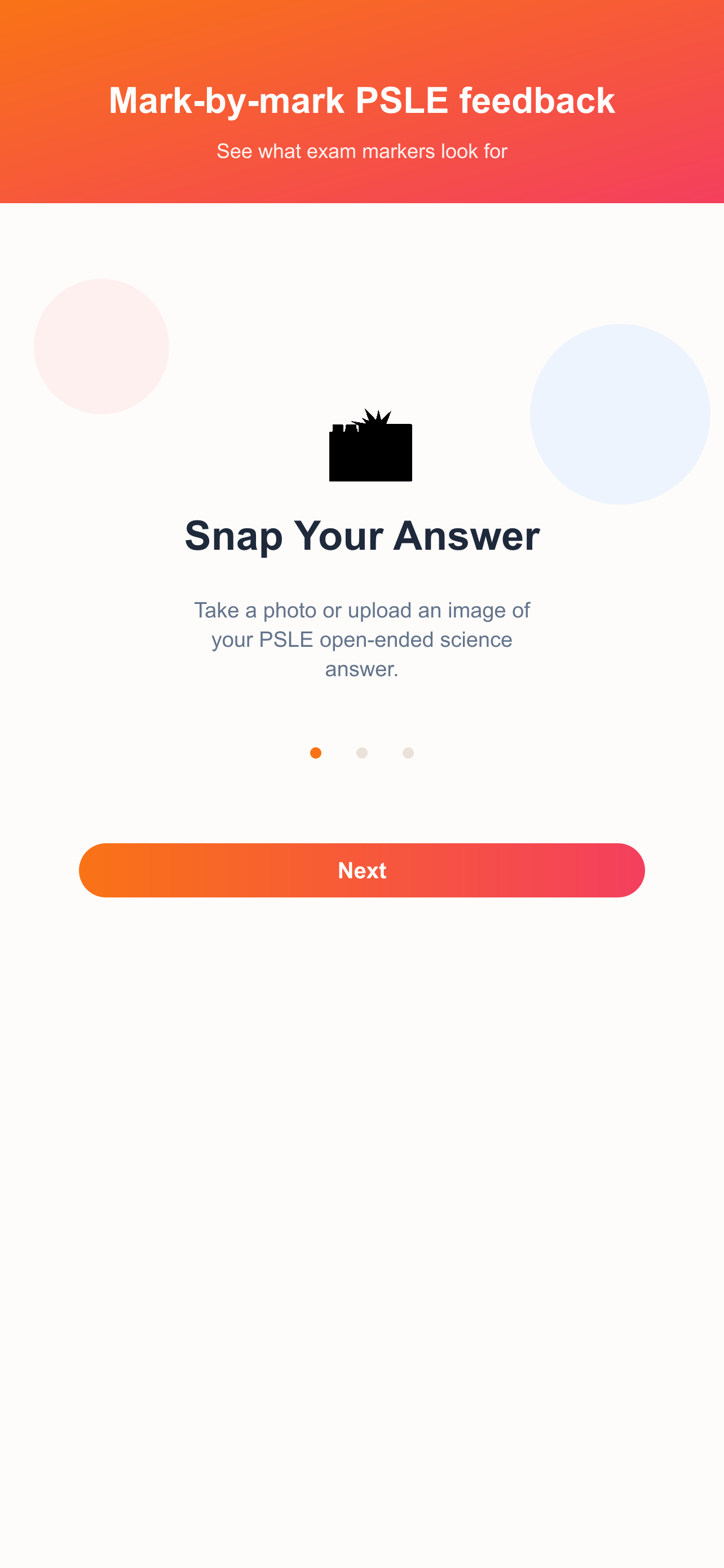 See exactly what PSLE exam markers look for